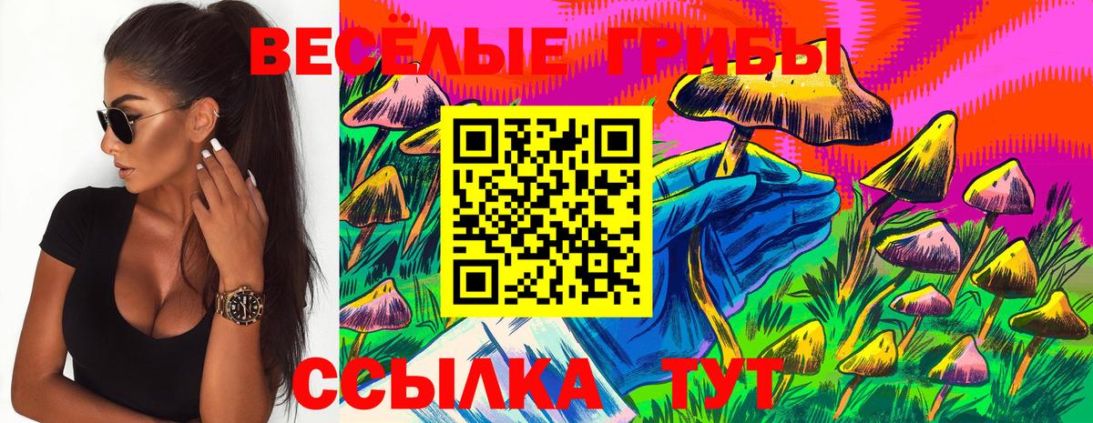 Псилоцибиновые грибы GOLDEN TEACHER Боровичи
