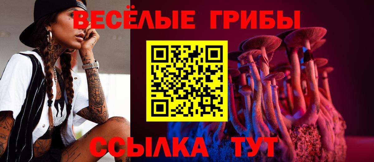 Боровичи  Псилоцибиновые грибы GOLDEN TEACHER  купить наркотики цена  Вход с VPN 